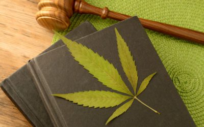 New Hampshire Protects Off-Duty Medical Cannabis Use